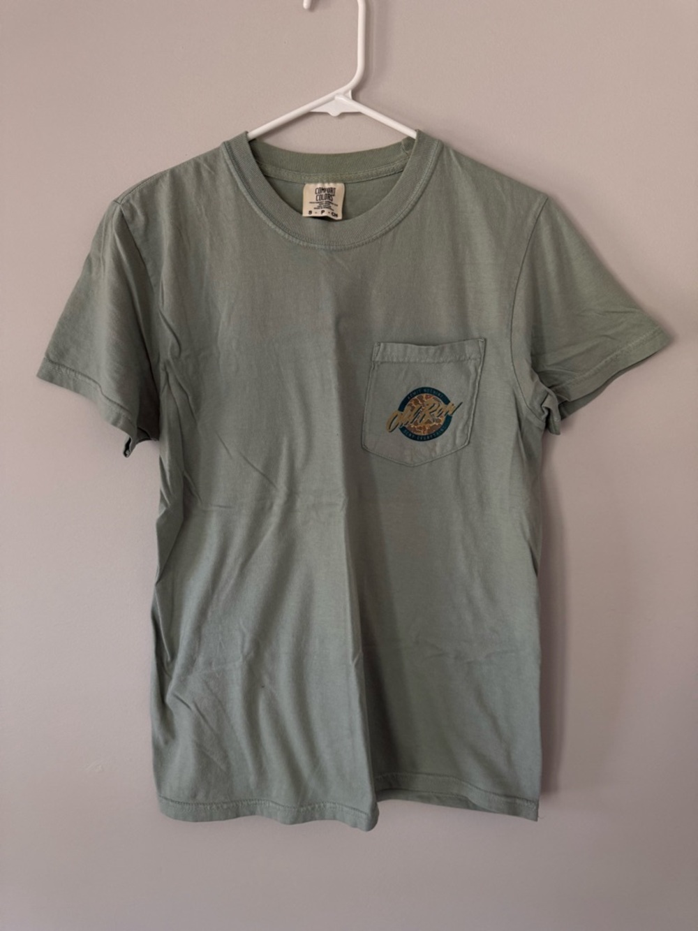 Comfort Colors Sage Green Crewneck T-Shirt